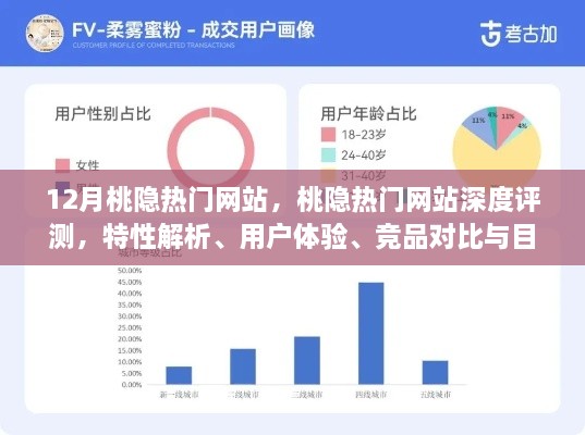 桃隐热门网站全面解析，特性、用户体验、竞品对比与目标用户群体深度探讨