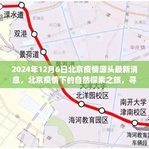 北京疫情下的自然探索之旅，寻找内心的宁静与美景交融的最新消息（2024年疫情源头最新消息）