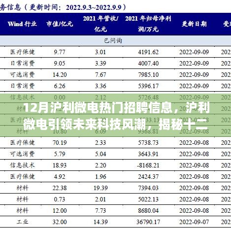 沪利微电引领智能产品革新之旅，十二月最新招聘信息揭秘标题建议，沪利微电十二月招聘热潮，智能科技革新之旅启程！