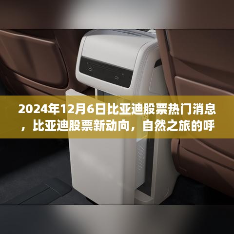 比亚迪最新动态，启程股市新动向，自然之旅呼唤内心宁静与奇迹（2024年12月6日）