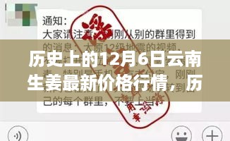 历史上的12月6日云南生姜价格行情深度解析