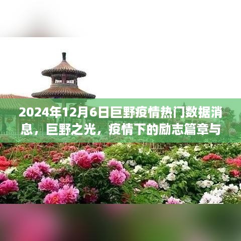 巨野之光，疫情下的励志篇章与数字背后的希望故事（2024年热门数据消息）