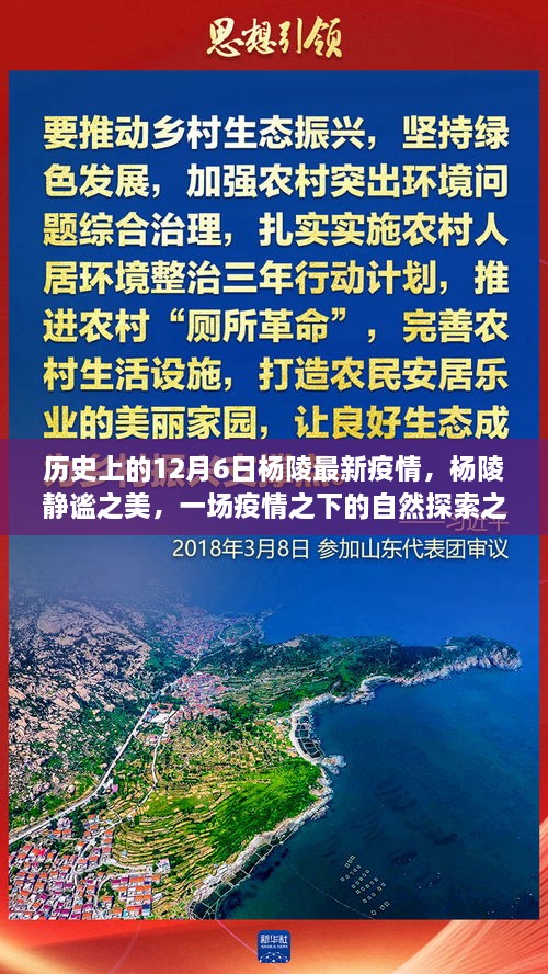 杨陵静谧之美，疫情之下的自然探索之旅在历史上的今天——杨陵最新疫情回顾