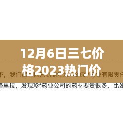 揭秘，2023年12月6日三七价格走势深度解析及热门价格背后的三大要点探讨