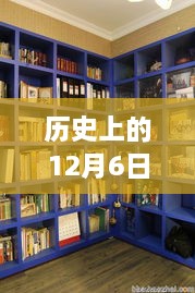 窥探文化变迁，历史上的十二月六日热门书柜图片探析