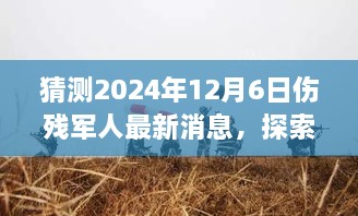 2024年12月6日最新消息，伤残军人心灵疗愈之旅与未来展望