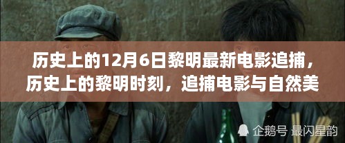 2024年12月8日 第34页