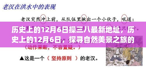 历史上的12月6日探寻自然美景之旅，最新操三八地址揭秘