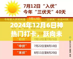 2024年12月6日热门打卡日，跃向未来，在学习中蜕变之路