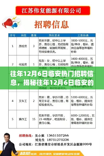 揭秘往年12月6日临安热门招聘信息，行业趋势与求职策略全解析