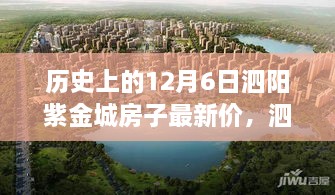 泗阳紫金城房价变迁见证时代梦想，学习自信铸就家园之路