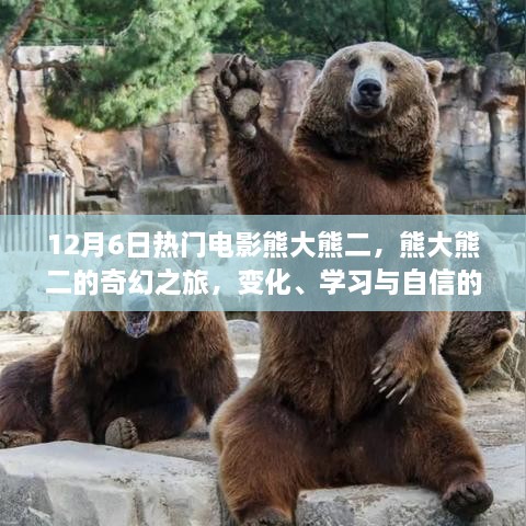 熊大熊二的奇幻之旅，变化、学习与自信的力量