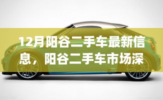 阳谷二手车市场最新行情深度探秘与汇总报告，深度解析阳谷二手车市场最新动态及行情信息