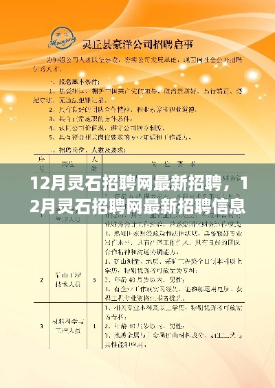 12月灵石招聘网最新招聘，12月灵石招聘网最新招聘信息汇总，职场人的福音来啦！