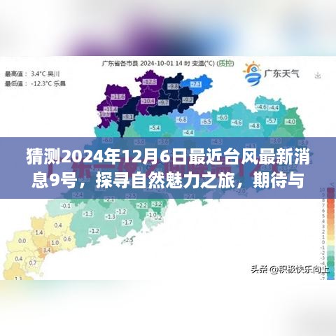 独家预测与探寻自然魅力之旅，揭秘台风9号的不期而遇攻略（2024年12月6日最新消息）