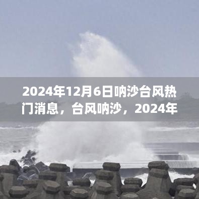 台风呐沙来袭，2024年12月6日的记忆与影响