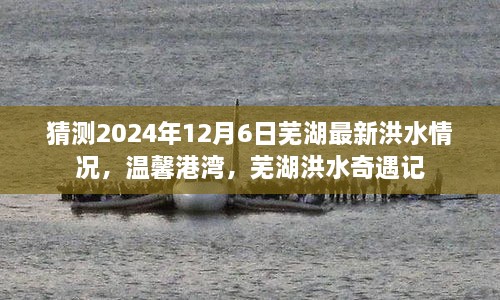 芜湖洪水预测，温馨港湾的奇遇记（2024年12月6日）