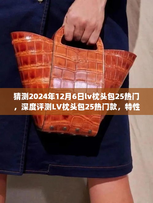 深度评测LV枕头包25热门款，特性、使用体验、竞品对比及目标用户群体分析（预测未来流行趋势）