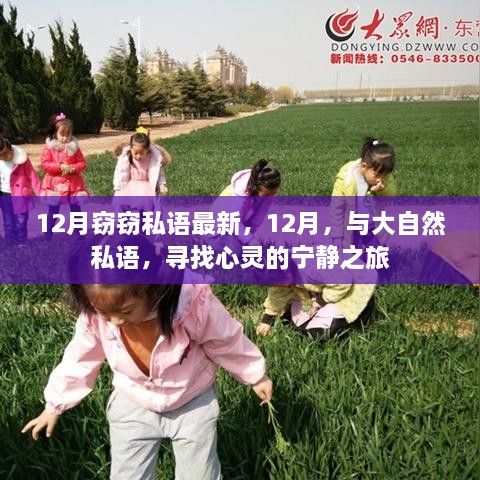 12月心灵之旅，与大自然的私语，探寻宁静之力