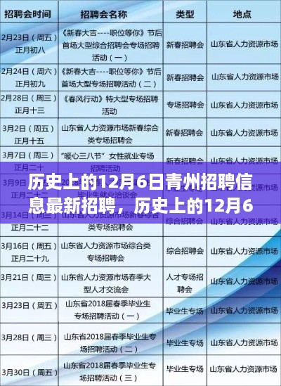 历史上的12月6日青州招聘信息深度解析与最新招聘动态全面解读