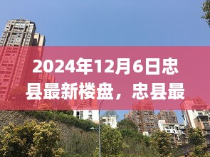 2024年12月8日 第6页