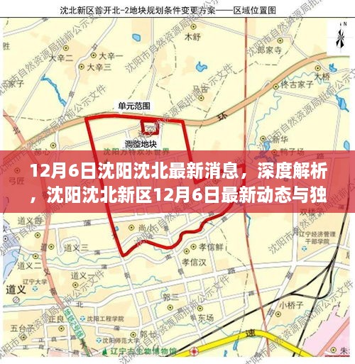 沈阳沈北新区12月6日最新动态深度解析与独特体验揭秘