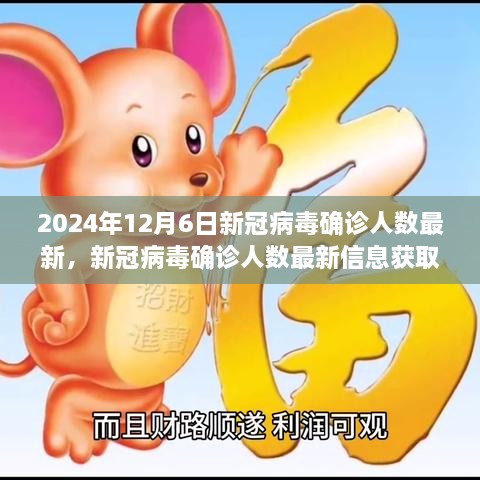 新冠病毒确诊人数最新信息指南，2024年12月6日数据（初学者与进阶用户适用）