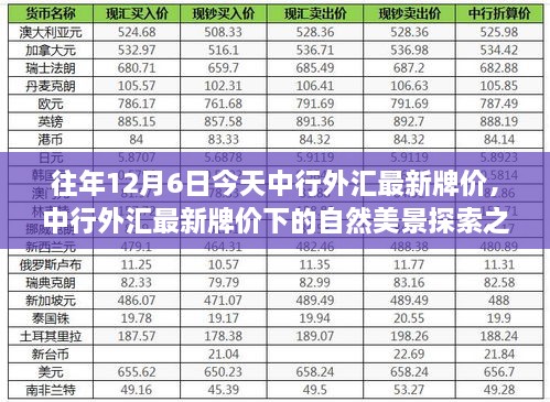 中行外汇最新牌价下的自然美景探索之旅，内心的宁静与平和寻找之旅