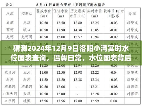 洛阳小湾水位图表背后的故事，友情、奇遇与温馨的日常猜测（2024年12月9日实时更新）