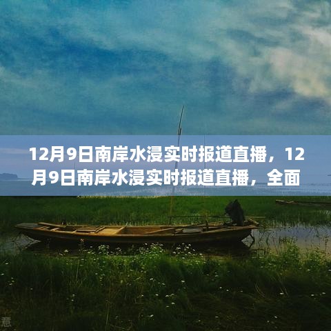 12月9日南岸水浸实时报道直播，全面评测与详细介绍