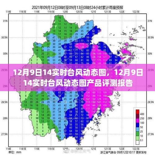 12月9日14点实时台风动态图及评测报告