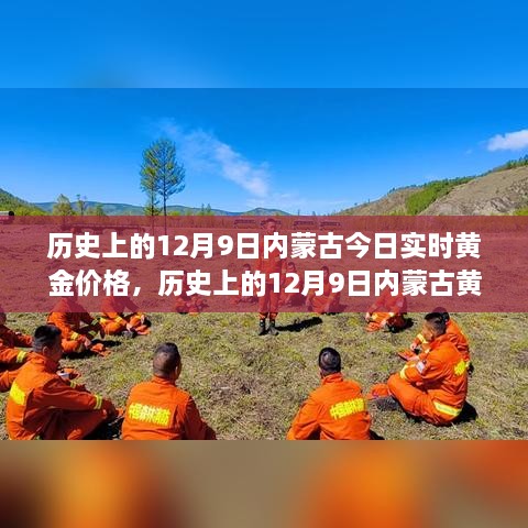 内蒙古黄金价格深度解析，历史与实时行情回顾及全面介绍