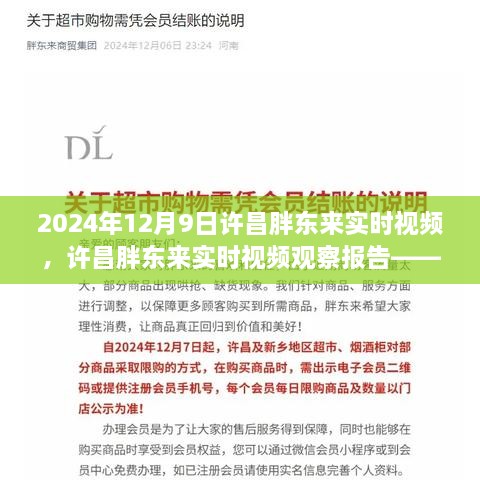 许昌胖东来实时观察报告，聚焦亮点，记录2024年12月9日的独特风采