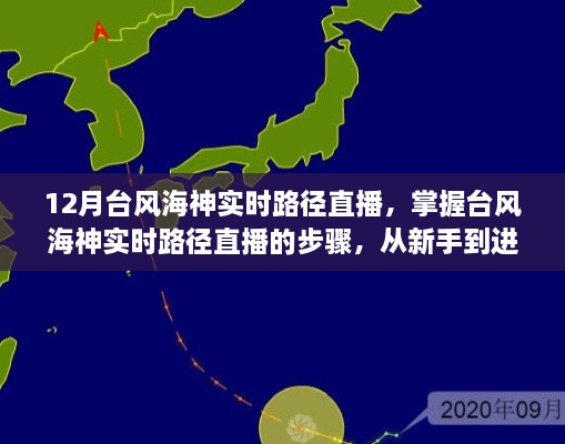 台风海神实时路径直播全方位指南，从新手到进阶用户的直播步骤与技巧