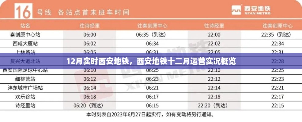 2024年12月 第359页