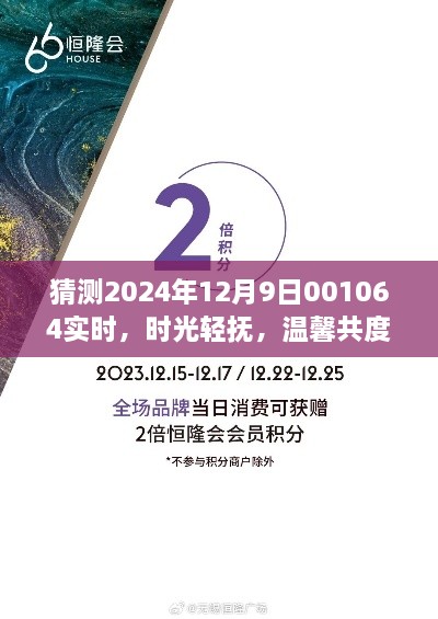 时光轻抚，共度温馨时光，揭秘2024年12月9日的神秘之旅