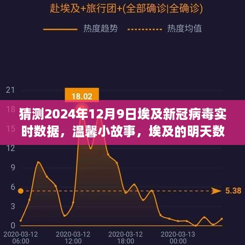 埃及新冠病毒实时数据预测之旅，温馨小故事与明日数据展望，2024年12月9日埃及展望报告