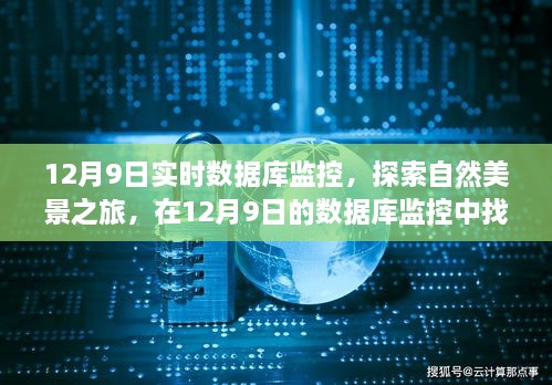 12月9日数据库监控下的自然美景探索，寻找内心的平和与宁静之旅