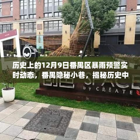 番禺区历史暴雨预警下的隐秘小巷与特色小店的奇妙缘分纪实