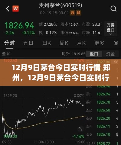 郑州茅台行情深度解析，最新市场走势与实时行情解析（12月9日）