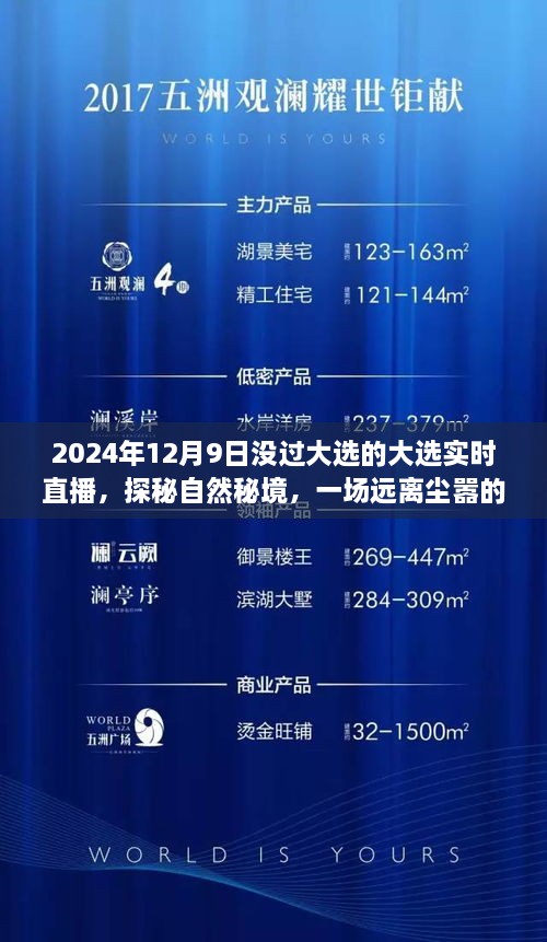 2024大选直播，共赴自然秘境的心灵之旅