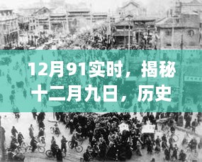 2024年12月 第346页