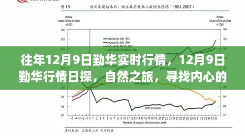 12月9日勤华行情日探，自然之旅与内心宁静幽默的力量实时行情解析