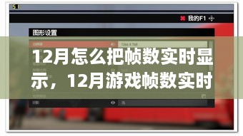 12月游戏帧数实时显示技术评测，性能监控与深度体验解析