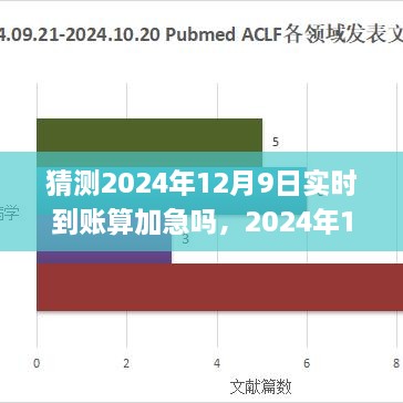 关于实时到账服务是否应算作加急服务的观点碰撞与融合（预测至2024年12月9日）