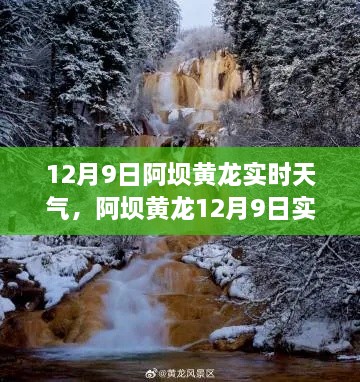 阿坝黄龙12月9日实时天气详解，冰雪仙境旅行攻略全掌握