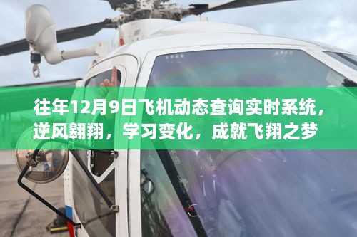 历年十二月九日飞机实时动态查询系统，逆风翱翔之梦与启示