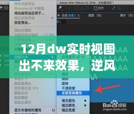 逆风翻盘，12月DW实时视图挑战中的成长与自信闪耀