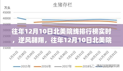 北美院线实时排行榜背后的励志故事，逆风翱翔回顾往年12月10日榜单