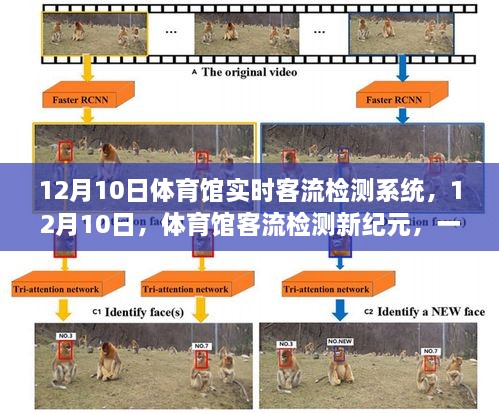 12月10日体育馆客流检测新纪元，绿色之旅开启，实时系统助力寻找内心平静之旅